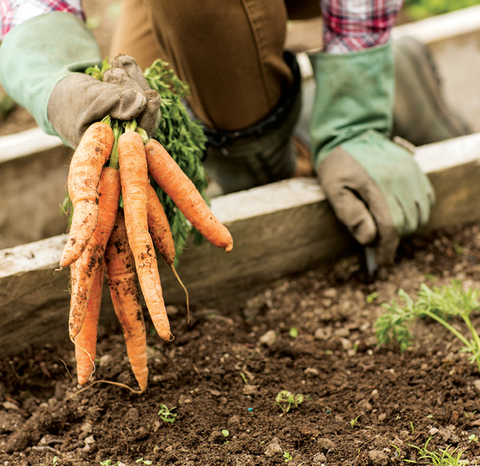 Safety in the Garden
